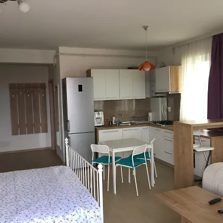 Diamond Iulius Mall Apartment *